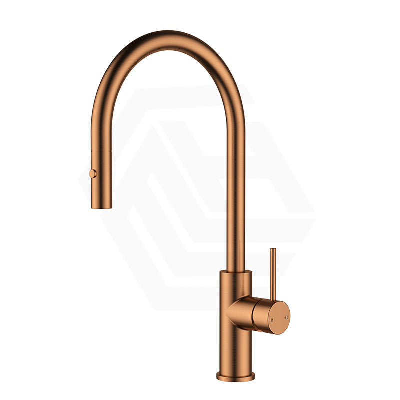 Feron Stainless Steel Gooseneck Pull-Out Sink Mixer Variant Colour Available