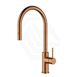 Feron Stainless Steel Gooseneck Pull-Out Sink Mixer Variant Colour Available