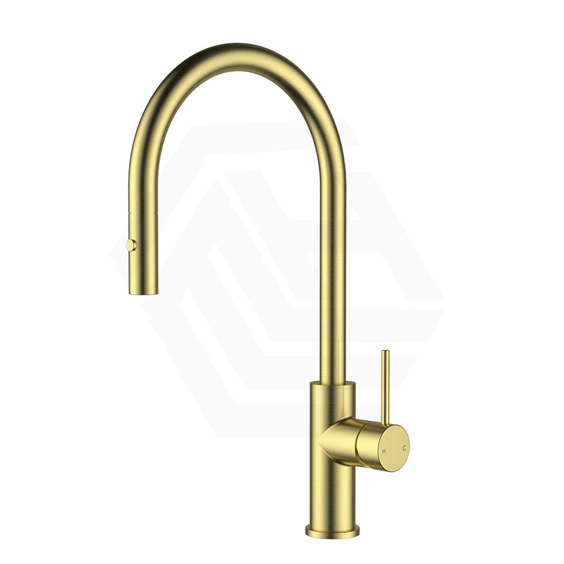 Feron Stainless Steel Gooseneck Pull-Out Sink Mixer Variant Colour Available