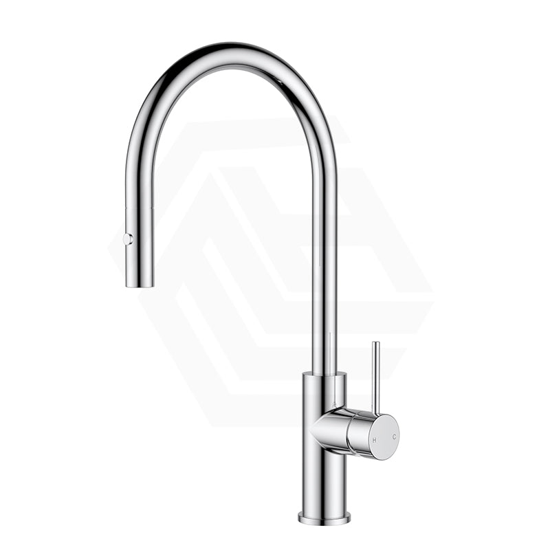 Feron Stainless Steel Gooseneck Pull-Out Sink Mixer Variant Colour Available