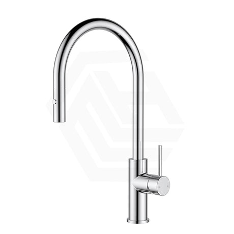 Feron Stainless Steel Gooseneck Pull-Out Sink Mixer Variant Colour Available