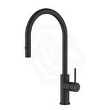 Feron Stainless Steel Gooseneck Pull-Out Sink Mixer Variant Colour Available