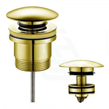 Feron 32/40mm Brass Basin Universal Pop-up Waste Brushed Gold