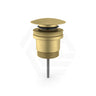 Feron 32/40mm Brass Basin Universal Pop-up Waste Brushed Gold