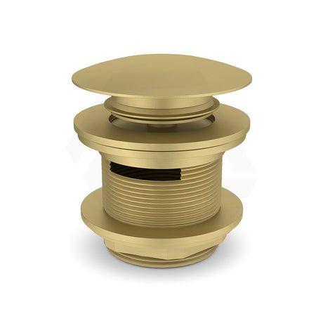 Feron 40mm Bath Pop-Up Plug With Removable Waste Overflow Brushed Gold