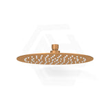 Feron Round Rainfall Shower Head Stainless Steel 250mm 10 inch - Variant Colour