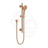 Feron Round Stainless Steel Handheld Shower on Sliding Rail with Water Inlet - Variant Colour