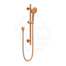 Feron Round Stainless Steel Handheld Shower on Sliding Rail with Water Inlet - Variant Colour