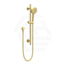 Feron Round Stainless Steel Handheld Shower on Sliding Rail with Water Inlet - Variant Colour