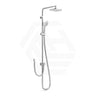Feron Round Brass Multi-Function 2 Hoses Universal Inlet Twin Shower Set - Variant Colour