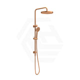 Feron Round Stainless Steel Multi-Function Twin Shower Set - Variant Colour