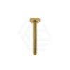 G#1(Gold) 200/400Mm Norico Round Ceiling Shower Arm Brushed Gold Arms