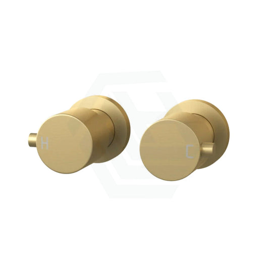 G#1(Gold) Norico Round Brushed Gold Shower Wall Taps Solid Brass Top Assemblies