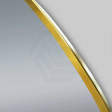 500x1000mm Lamex Oval Gold Framed Bathroom Wall Mirror Vertical