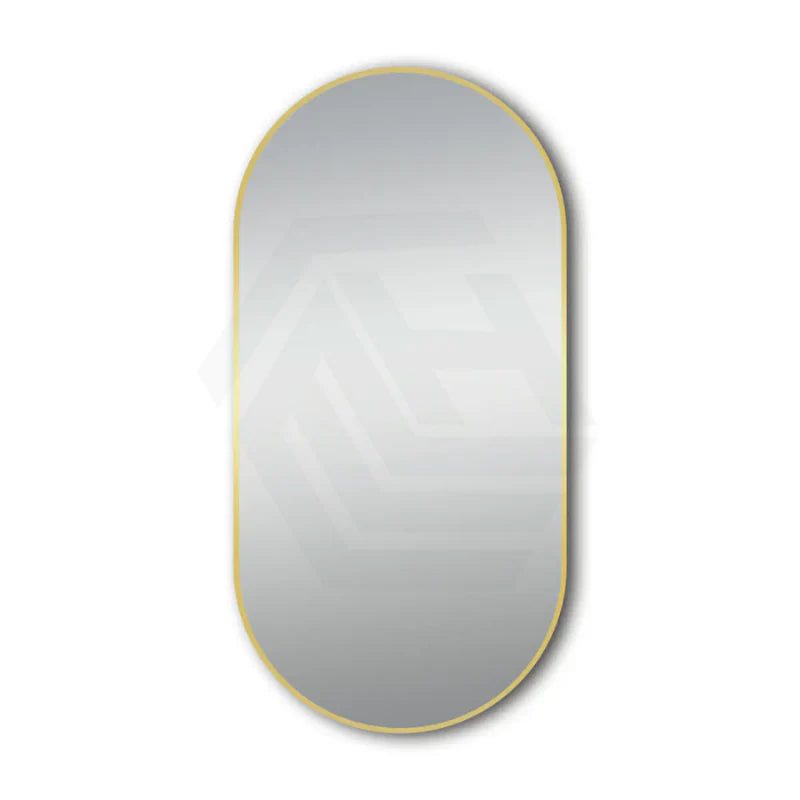 500x1000mm Lamex Aluminum Oval Gold Framed Bathroom Mirror Vertical