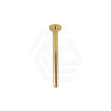 G#2(Gold) Fienza 300Mm Round Urban Brass Ceiling Dropper Brushed Gold Shower Arms