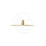 G#2(Gold) Fienza Kaya 250Mm Pvd Urban Brass Round Shower Head Heads