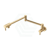 G#2(Gold) Fienza Kaya Urban Brass Extendable Arm Kitchen Pot Filler Mixer Cold Water Only Pull Out