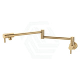 G#2(Gold) Fienza Kaya Urban Brass Extendable Arm Kitchen Pot Filler Mixer Cold Water Only Pull Out