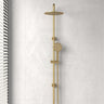 G#2(Gold) Fienza Kaya Urban Brass Twin Shower Top Water Inlet Showers