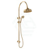 Fienza Lillian Urban Brass Twin Shower Top Water Inlet
