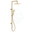 G#2(Gold) Fienza Tono Urban Brass Twin Shower Top Water Inlet Showers
