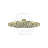 G#8(Gold) Meir 200Mm Round Brass Tiger Bronze Shower Head Heads