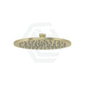 G#8(Gold) Meir 200Mm Round Brass Tiger Bronze Shower Head Heads