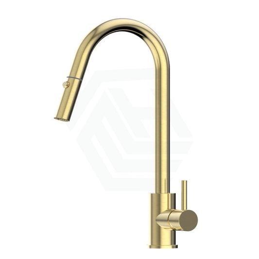 Xacta Xpressfit 304 Stainless Steel Brushed Gold Retractable Kitchen Mixer Swivel And Pull Out Sink