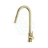 G#2(Gold) Xacta Xpressfit 304 Stainless Steel Brushed Gold Retractable Kitchen Mixer Swivel 