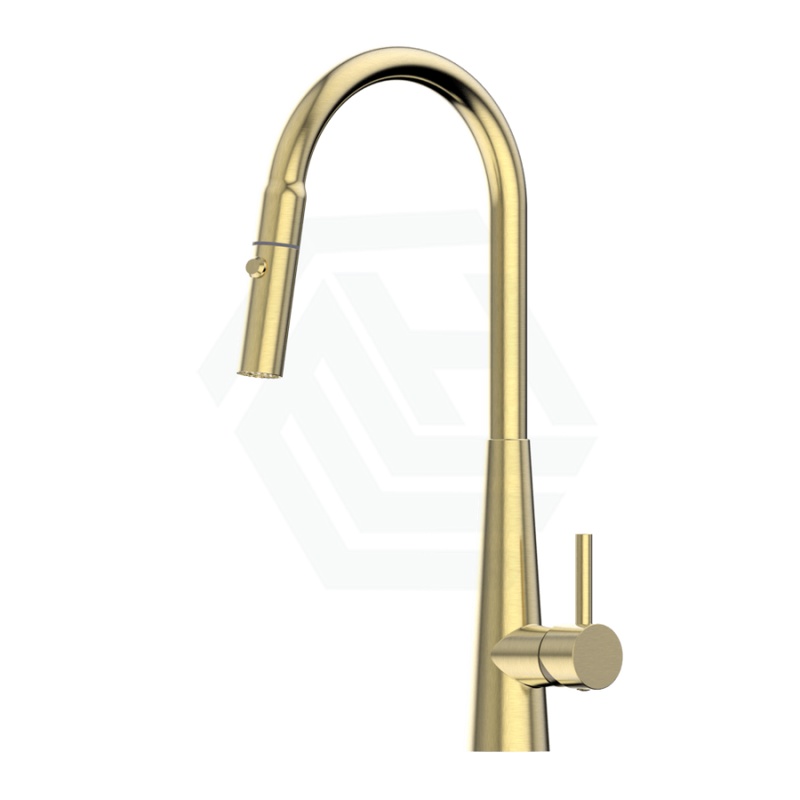 Xcel Brushed Gold Stainless Steel Retractable Dual Spray Swivel Pull Out Mixer Tap Sink Mixers