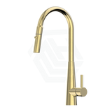 Xcel Brushed Gold Stainless Steel Retractable Dual Spray Swivel Pull Out Mixer Tap Sink Mixers