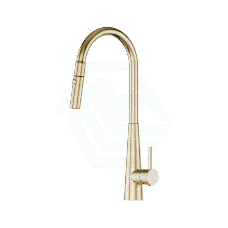 Xcel Xpressfit Brushed Gold Stainless Steel Retractable Dual Spray Swivel Pull Out Mixer Tap Sink
