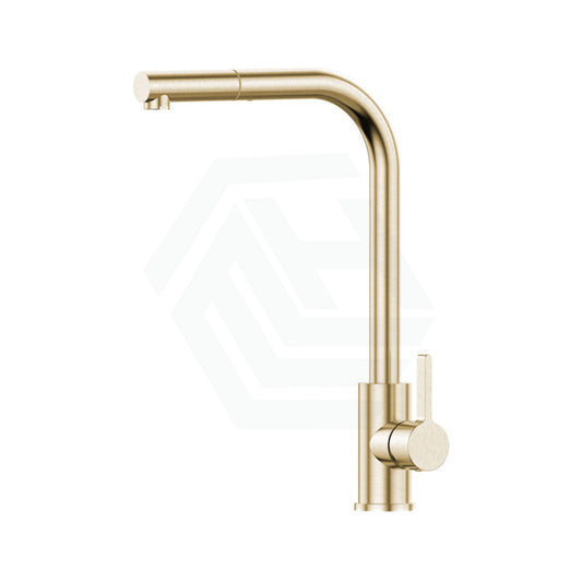 Xclaimer Xpressfit Brushed Gold Stainless Steel Straight Neck Retractable Mini Pull Out Mixer Sink