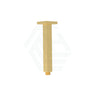 G#3(Gold) 316Mm Square Vertical Ceiling Shower Arm Brushed Gold Arms