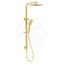 Eden Multi-Function Square Twin Shower Set In Brushed Gold Surface Chrome Showers