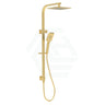 Eden Multi-Function Square Twin Shower Set In Brushed Gold Surface Chrome Showers