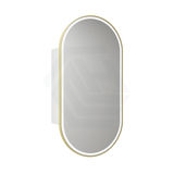 G#6(Gold) 450X900Mm Beau Monde Led Mirror Oval Shaving Cabinet Matt White Finish Brushed Gold
