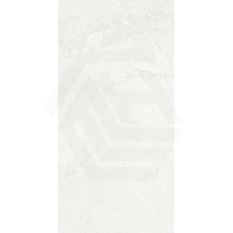 Elegance Silver Stone Look Stone Touch 600/1200mm Tile