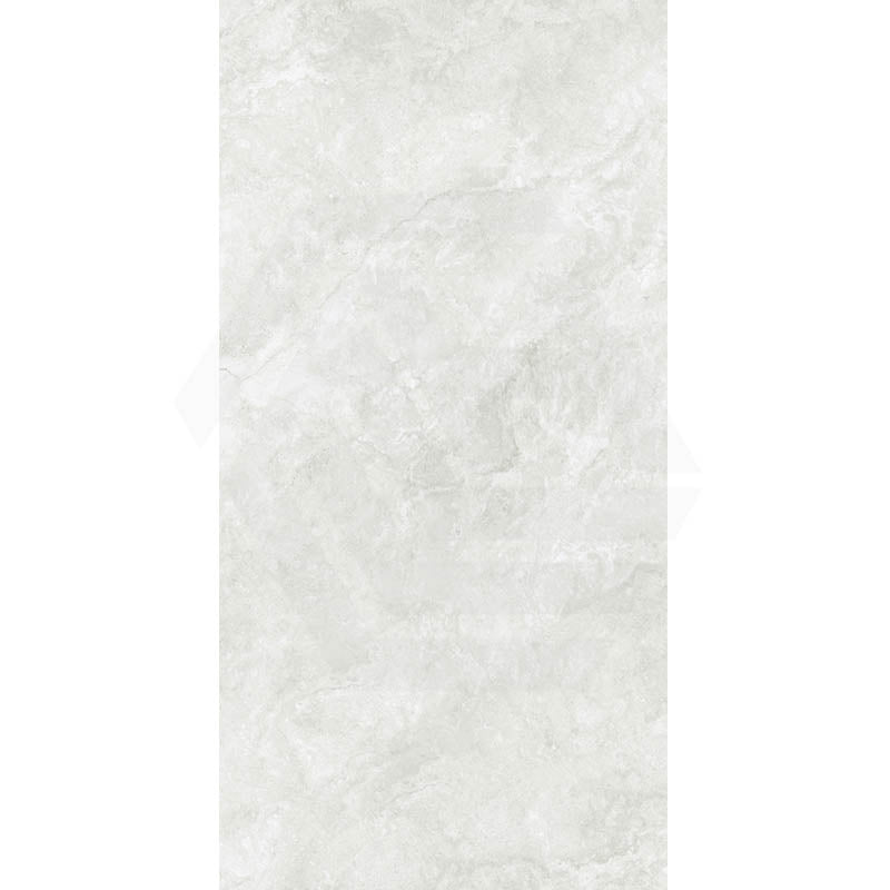 Everest Silver Stone Look In & Out 600/1200mm Tile