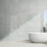Ionic Silver Stone Look Polished 300/600/1200mm Tile