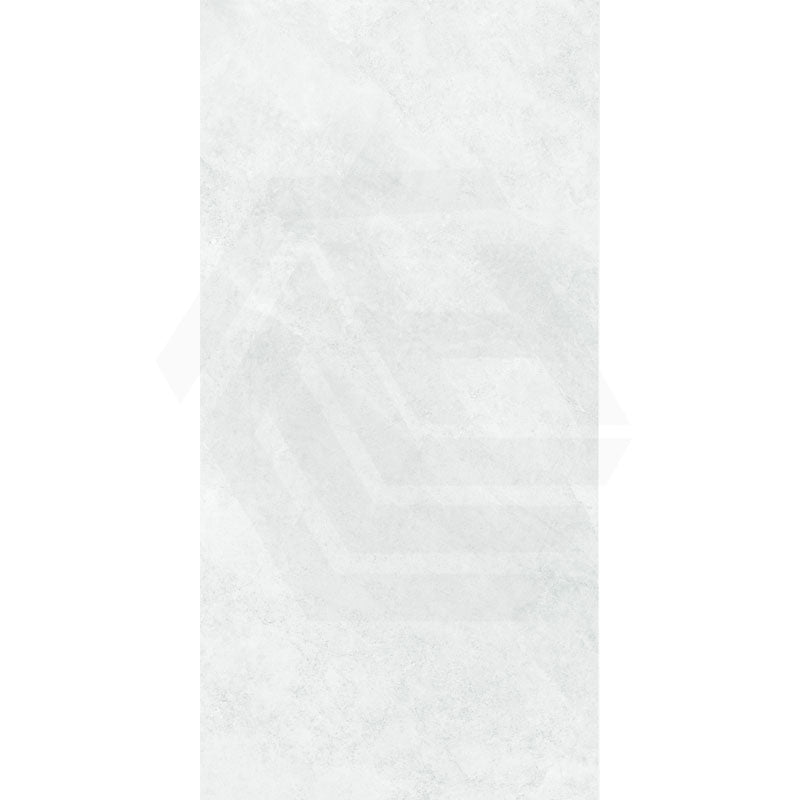 Ionic Silver Stone Look Soft Matt 600x1200mm Tile