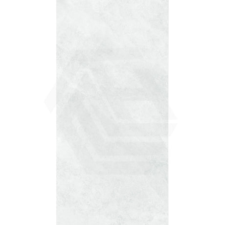 Ionic Silver Stone Look Soft Matt 600x1200mm Tile