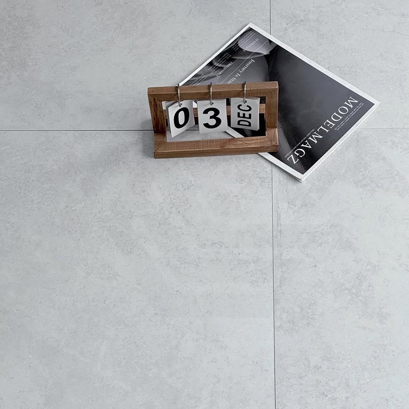 Ionic Silver Stone Look Matt 300/600mm Tile