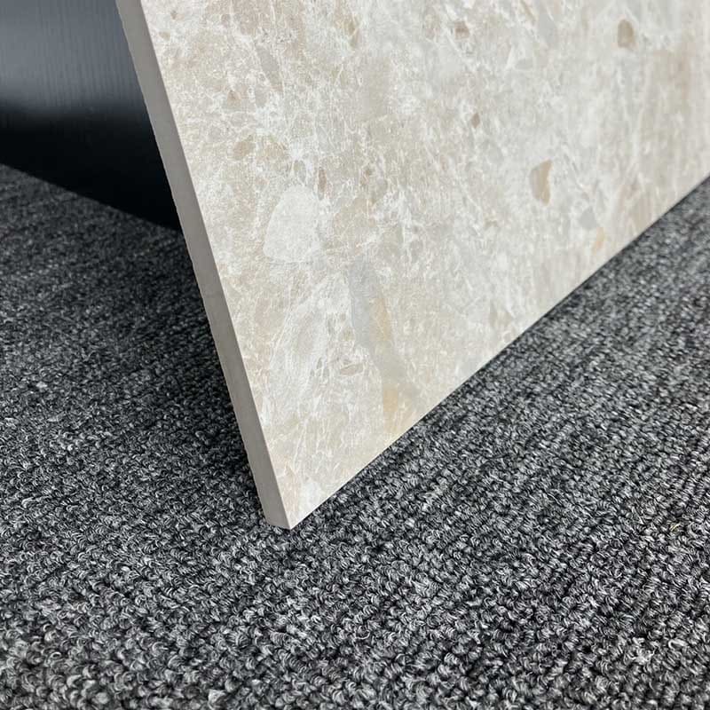 Luxstone Beige Terrazzo Look In & Out 600x600mm Tile
