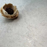 Mosman Grey Stone Look In & Out 600x600mm Tile