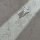 Travertine White Matt Travertine Look 300/600/1200mm Tile