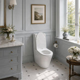Tornado Rimless Back To Wall Ceramic Toilet Suite 673x375x870mm - Gloss White
