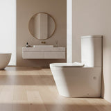 Tornado Silent High End Back To Wall Ceramic Toilet Suite 665x360x845mm - Gloss White