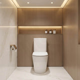 Tornado Silent High End Back To Wall Ceramic Toilet Suite 665x360x845mm - Gloss White